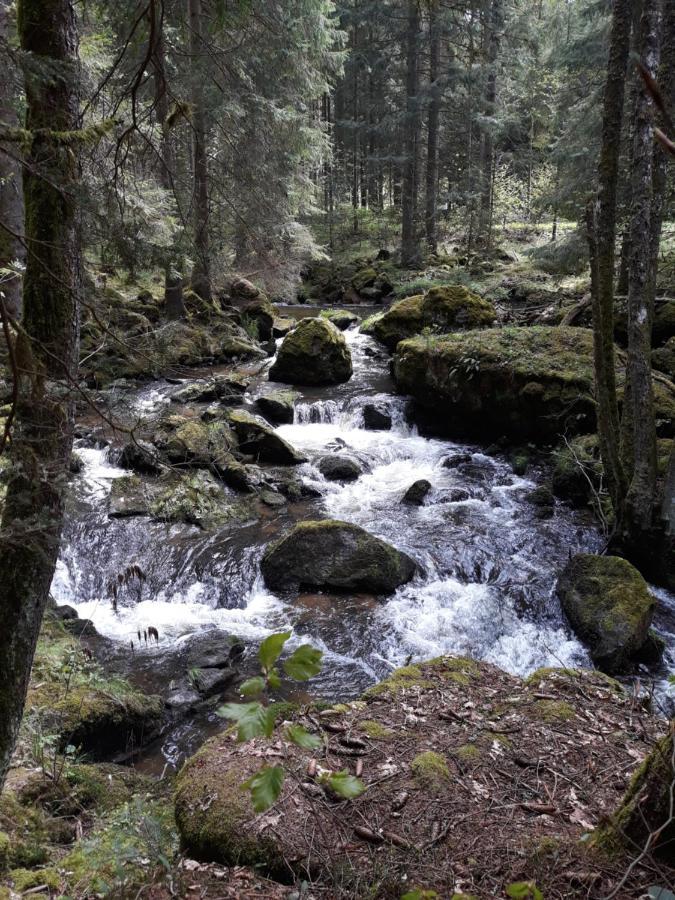 Kirchdorf im Wald Anno - Die Wohlfuehl - Idylle In Gruenbach_Kirchdorf מראה חיצוני תמונה